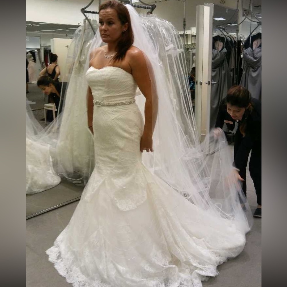 Unworn wedding dress (belt, veil, petticoat, corset)